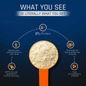 6 - AS-IT-IS Nutrition ATOM Whey Protein with Enzymes,  2.2 lb  Kesar Elaichi 