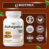 7 - Biotrex Astragalus 500mg,  60 veggie capsule(s) 