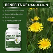 5 - Biotrex Dandelion 500mg, 60 veggie capsule(s)