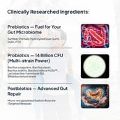 5 - Miduty Probiotics+ (For Adults), 30 sachets/pack Unflavoured