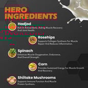 5 - Nutrela Sports Patanjali 100% Whey Performance, 2.2 lb Malai Kulfi