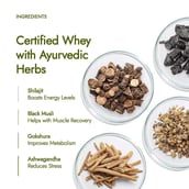 3 - Kapiva Him Foods Testofuel Shilajit Whey Protein, 2 lb Cookies & Cream