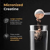 6 - Nutrabay Gold Micronised Creatine Monohydrate,  Cola  0.55 lb 