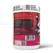 2 - Gibbon Nutrition Svelte Pre-Workout,  1.1 lb  Fruit Punch 