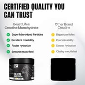 1 - BeastLife Creatine Monohydrate, Shikanji 0.27 lb