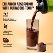4 - BeastLife Anabolic Mass Gainer,  11 lb  Belgian Chocolate 
