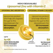 3 - Vlado's Himalayan Organics Liposomal Zinc with Vitamin C, 120 tablet(s)