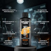 5 - BeastLife L-Carnitine with Vitamin B5 Liquid 3300mg, 450 ml Orange