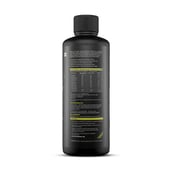 3 - BeastLife L-Carnitine with Vitamin B5 Liquid 1100mg, 450 ml Mojito