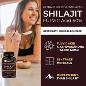 3 - Vitaminhaat Shilajit Gold,  60 capsules 