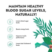 5 - Kapiva Karela Jamun Juice (Supports Healthy Blood Sugar),  Unflavoured  1 L 