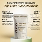 5 - Rooted Active Naturals Lion's Mane Organic Mushroom Extract, 60 g