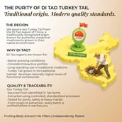 8 - Rooted Active Naturals Turkey Tail Organic Mushroom Extract, 60 veggie capsule(s)