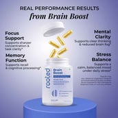 3 - Rooted Active Naturals Brain Boost, 60 veggie capsule(s)