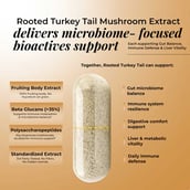 5 - Rooted Active Naturals Cordyceps Militaris Organic Mushroom Extract, 60 veggie capsule(s)