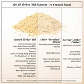 4 - Rooted Active Naturals Turkey Tail Organic Mushroom Extract, 60 g