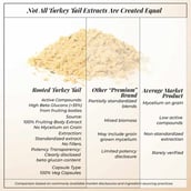 4 - Rooted Active Naturals Turkey Tail Mushroom Extract Powder,  60 g 