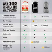 6 - Superyou Pro Fermented Yeast Protein,  2.2 lb  Choco Hazelnut 