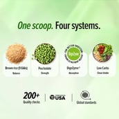 3 - GNC Plant Protein Isolate, 1 lb Mango