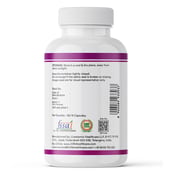 6 - INLIFE Alpha Lipoic Acid, 120 veggie capsule(s)