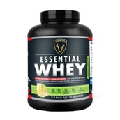 Vigour Fuel Essential Whey Protein,  2.2 lb  Banana Smoothie 