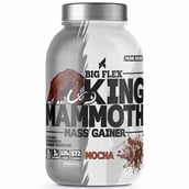 1 - Big Flex King Mammoth Mass Gainer, 2.2 lb Mocha