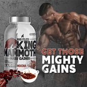4 - Big Flex King Mammoth Mass Gainer, 2.2 lb Mocha