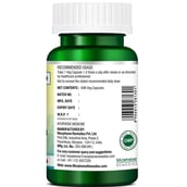 3 - Morpheme Remedies Livup (500 mg), 60 veggie capsule(s)