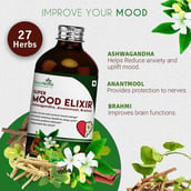 3 - Simply Herbal Mood Elixir (Pack of 2),  450 ml 