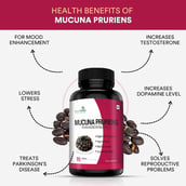 4 - Simply Herbal Mucuna Pruriens (Pack of 2),  90 capsules 