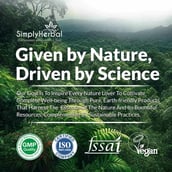 6 - Simply Herbal Mood Elixir (Pack of 2),  450 ml 