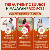 3 - Divya Himalayan Super Immunity Elixir (Pack of 2), 450 ml