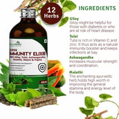 3 - Simply Herbal Immunity Elixir Syrup (Pack of 3),  450 ml 