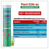 5 - Naturyz Plant KSM-66 with Ashwagandha(Apple Green Flavour), 60 tablet(s)