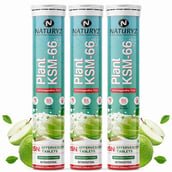 1 - Naturyz Plant KSM-66 with Ashwagandha(Apple Green Flavour), 45 tablet(s)
