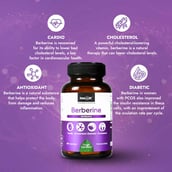 5 - StemRX Berberine, 60 capsules