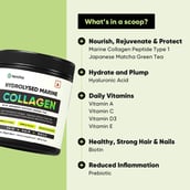 3 - Tencha Matcha Marine Collagen, 210 g Japanese Matcha Green Tea (with Shaker)