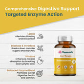 4 - Vaamveda GutZymes,  60 capsules 