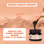 5 - Upakarma Ayurveda Pure Shilajit Resin Form with Safed Musli, 10 g