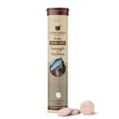 1 - Upakarma Ayurveda Pure Shilajit Strength & Stamina, 20 tablet(s)