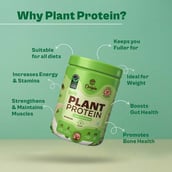 15 - Origin Nutrition Plant Protein, 0.55 lb Classic Unflavoured