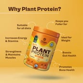 2 - Origin Nutrition Plant Protein, 0.63 lb Mango Mania