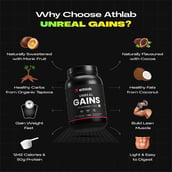 2 - Athlab Unreal Gains,  2.2 lb  Dutch Chocolate 