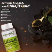 6 - Health Veda Organics Gold Shilajit,  60 capsules 