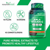 4 - NourishVitals Amla Vitamin C, 60 veggie capsule(s) Unflavoured