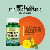 4 - Morpheme Remedies Tribulus Terrestris (500 mg), 60 veggie capsule(s)
