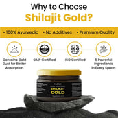 6 - Muditam Pure Himalayan Shilajit with Gold (Pack of 2),  20 g 