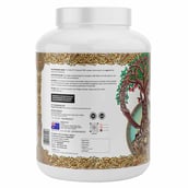 2 - 13 Lives Feast Mass Gainer, 6.6 lb Mango Milk Shake