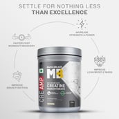 1 - MuscleBlaze Creatine Monohydrate CreAMP,  Unflavoured  0.55 lb