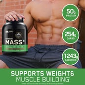 5 - ON (Optimum Nutrition) Serious Mass, 2.2 lb Chocolate